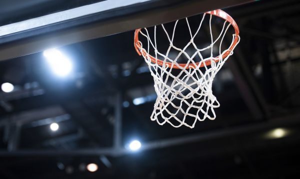 Cost of Basketball Net Installation in Brentwood