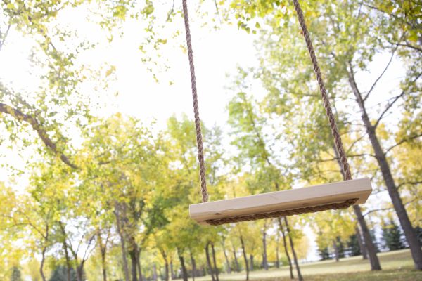 Cost of Swing Installation in Brentwood