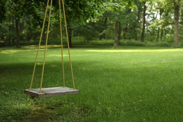 Cost of Rope Swing Installation in Brentwood