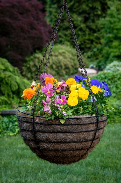 Cost of Hanging Basket Installation in Brentwood