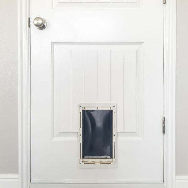 Cost of Pet Door Repair in Brentwood