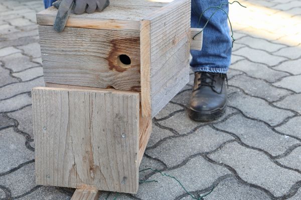 Cost of Birdhouse Mounting in Brentwood